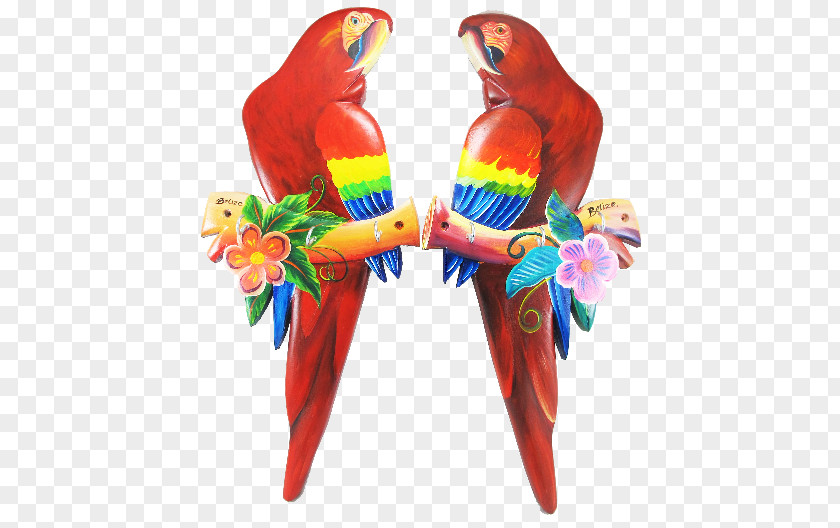 Scarlet Macaw Bird Parakeet Beak PNG