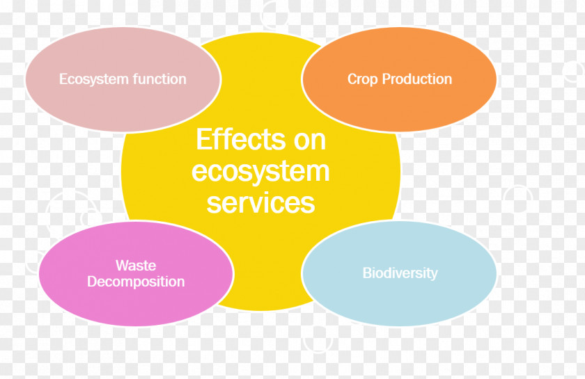 Sun Exposure Ecotoxicology Ecosystem Services Ecology PNG