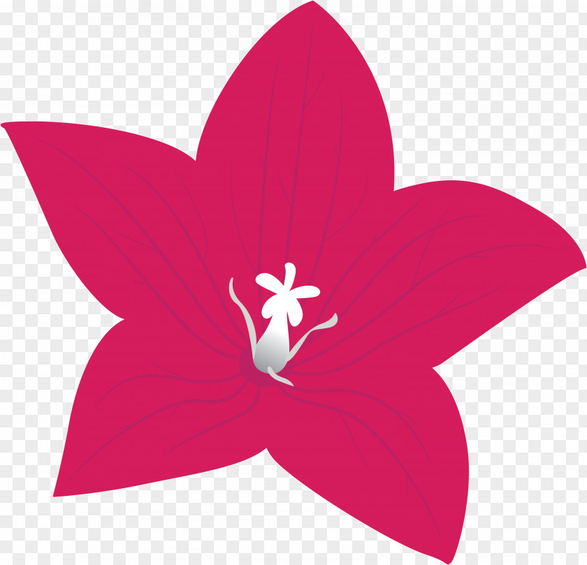 Balloon Flower PNG