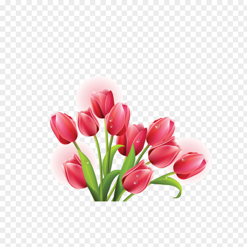Flowers Tulip Mania Flower Clip Art PNG