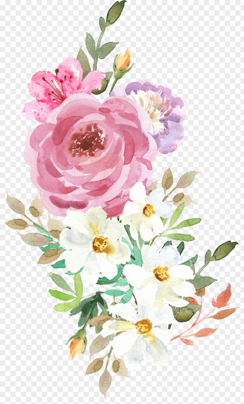 Painted Flowers Watercolor Garden Roses Flower Illustration Vector Graphics IStock PNG