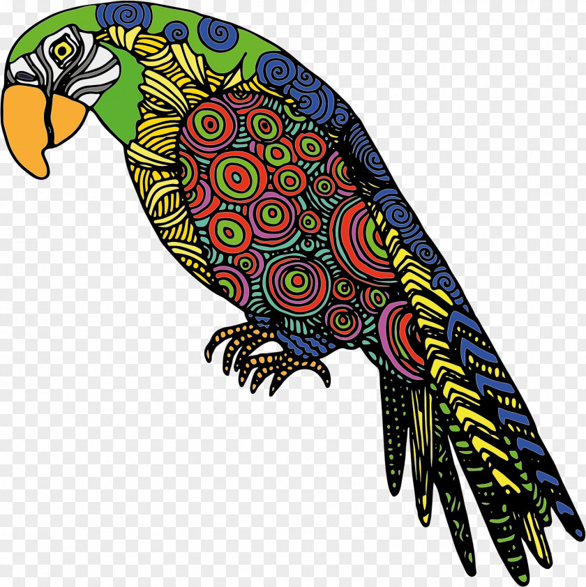 Parrot Bird Clip Art PNG