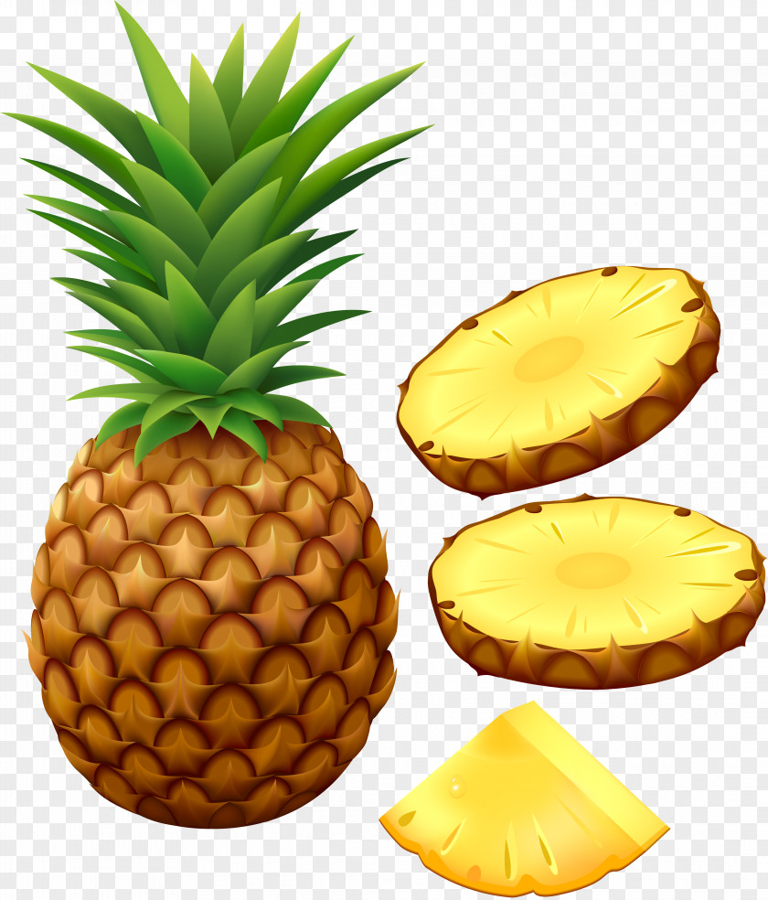 Pineapple Piña Colada Clip Art PNG