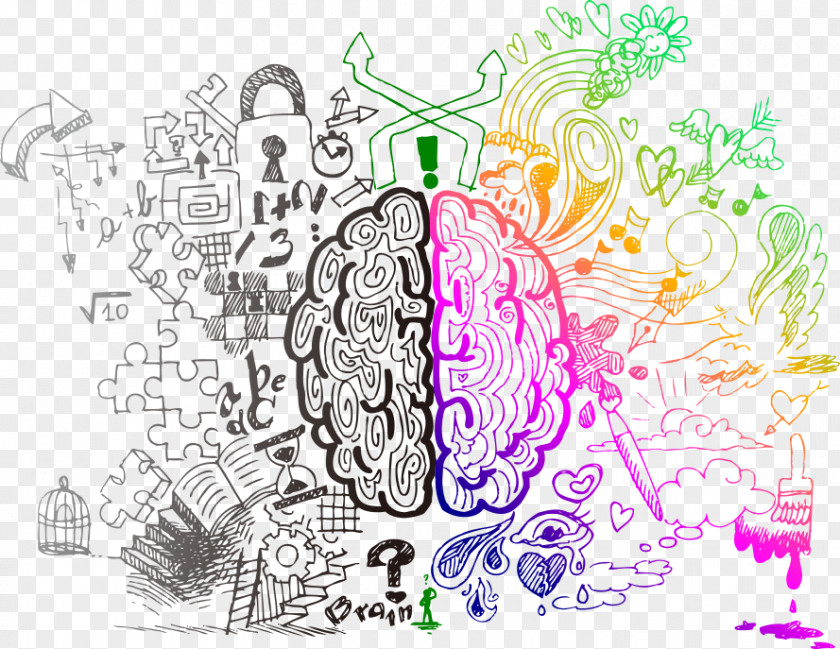 Vector Color Brain Drawing Therapy Thought PNG