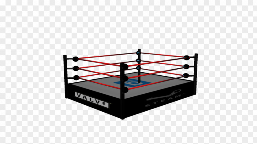 Wrestlers The History Of Professional Wrestling: World Championship Wrestling 1989-1994. Royal Rumble 1990 Boxing Rings Ring PNG