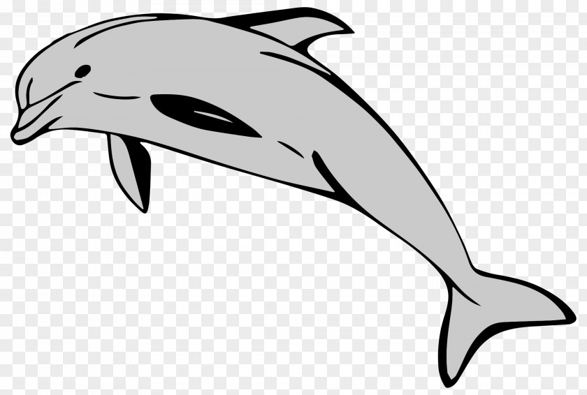 Dolphins Mascot Common Bottlenose Dolphin Short-beaked Clip Art Tucuxi PNG