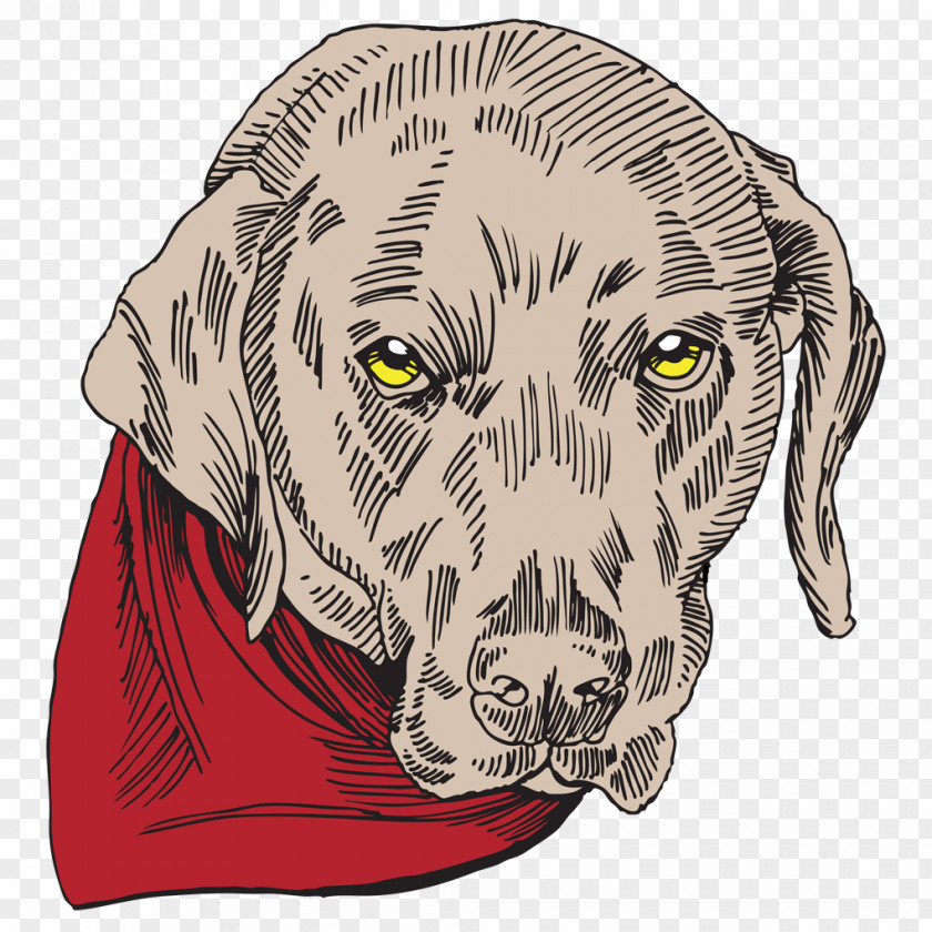 Puppy Labrador Retriever Weimaraner Dog Breed Pointer PNG