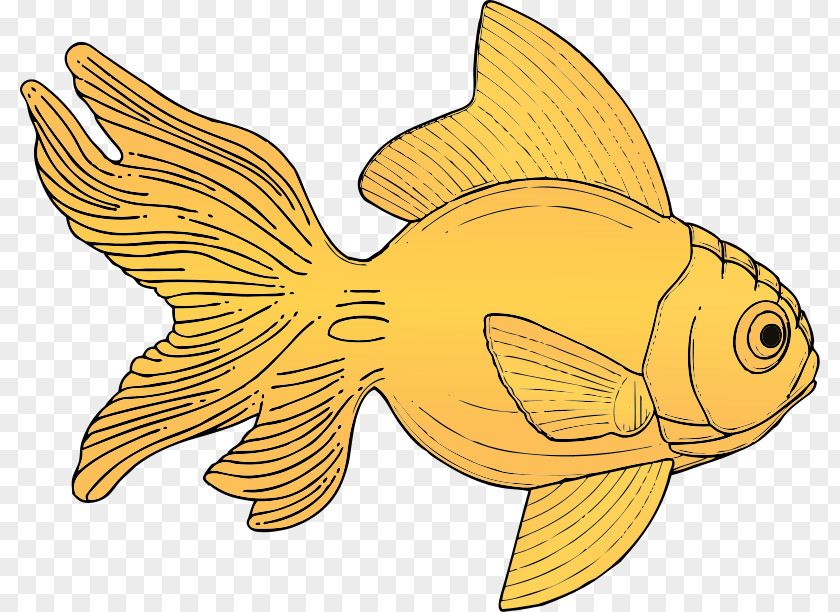 Sea Animal Art Carassius Auratus Fish Clip PNG