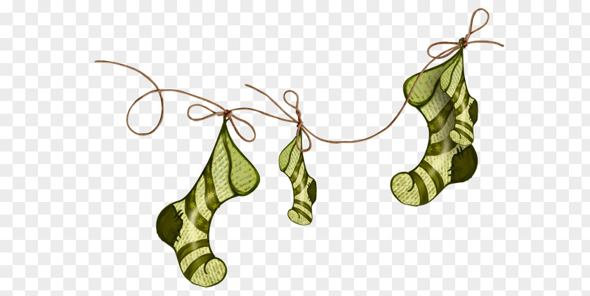 Christmas Hosiery Sock PNG