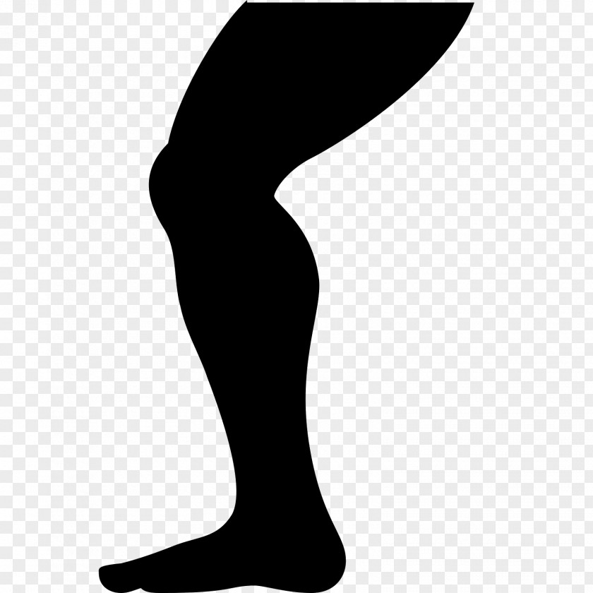 Computer Icons Human Leg PNG leg, Diseases Of The Foot clipart PNG