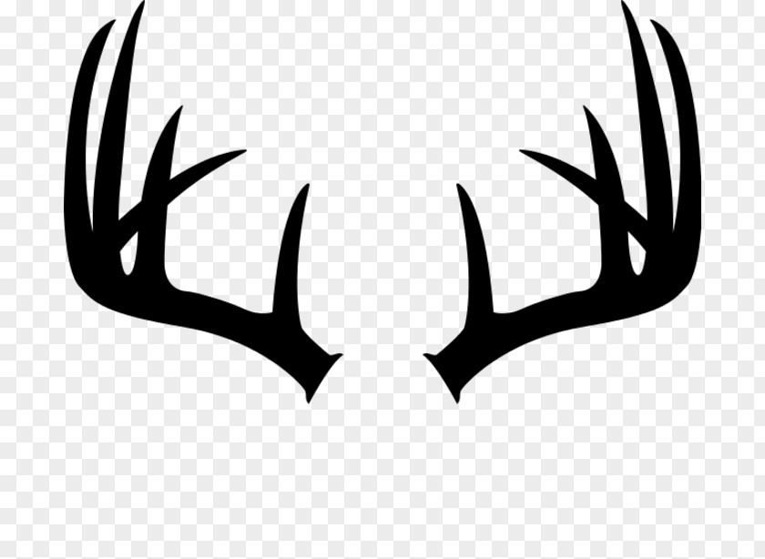 Deer White-tailed Antler Moose Elk PNG