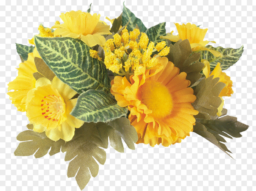Flower Flowerpot Tagetes Lucida Gift PNG