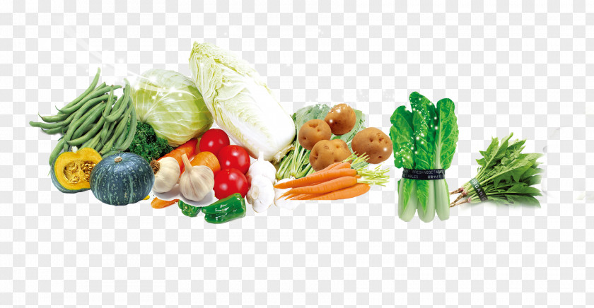 Fresh Vegetable Elements Leaf Vegetarian Cuisine Radish Chinese Cabbage PNG