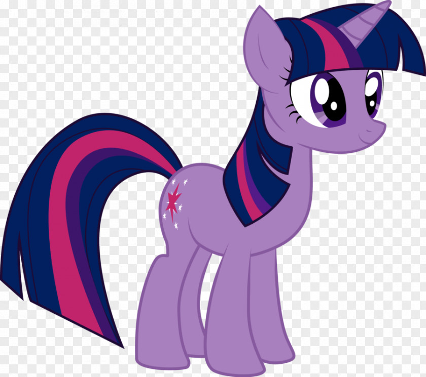 Sparkling Pony Twilight Sparkle Rarity Pinkie Pie Winged Unicorn PNG