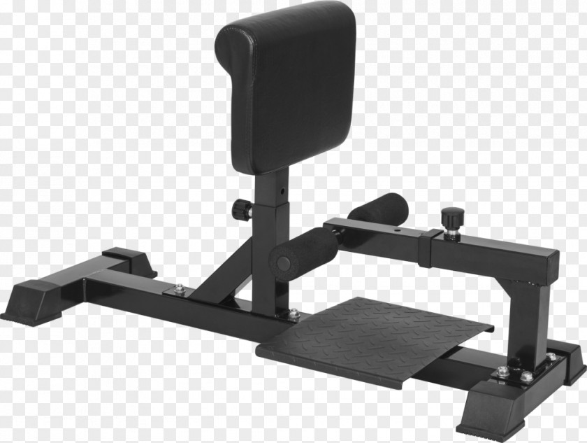 Gorillas Bench Squat Fitness Centre Weight Training Exercise PNG