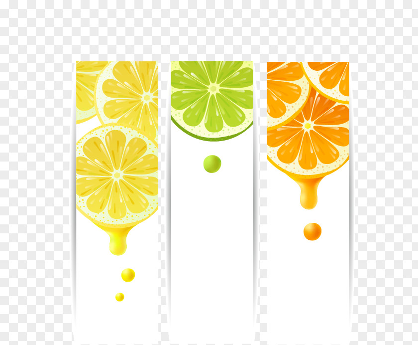 Lemon Juice Shop Orange, Green, Yellow Poster Material PNG