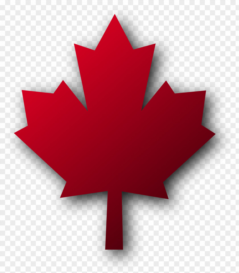 Maple Leaf Cliparts Canada Red Clip Art PNG