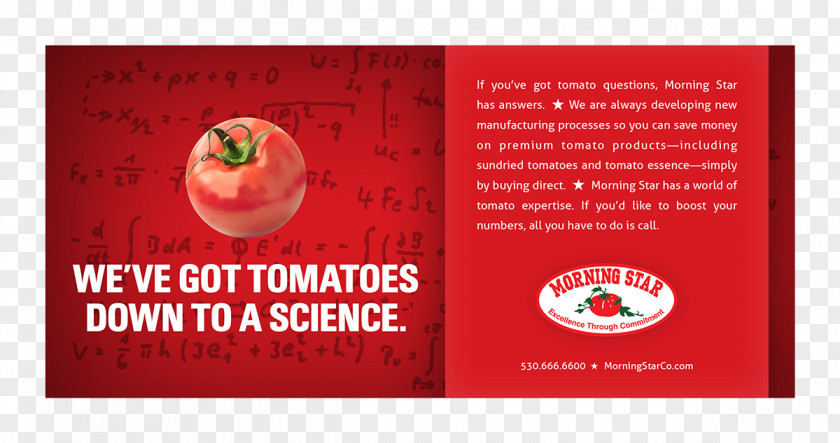 SacramentoTomato Tomato Morning Star Advertising Flyer Mercy Cancer Center PNG