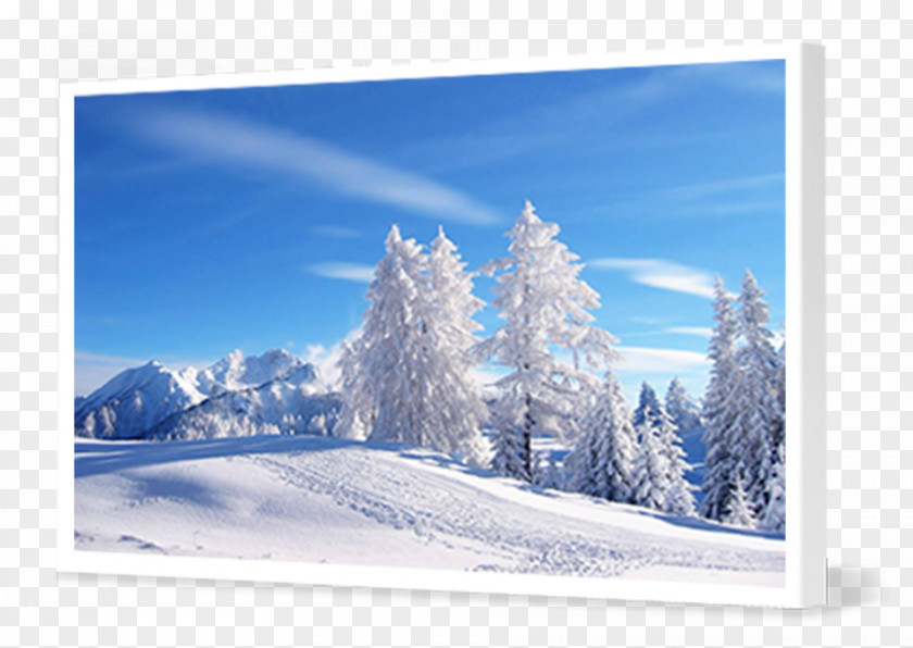 Winter Desktop Wallpaper Display Resolution High-definition Television PNG
