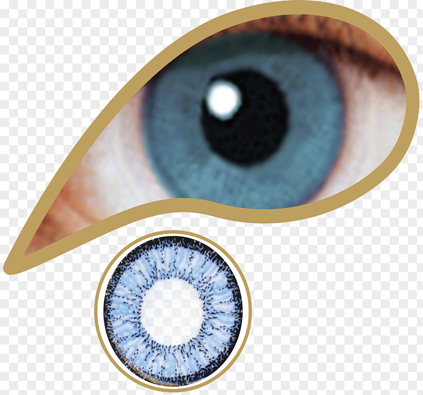 Eye Contact Lenses Green Blue Color PNG