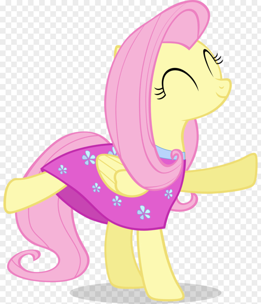 Fluttershy Rainbow Dash Twilight Sparkle Pinkie Pie Applejack PNG