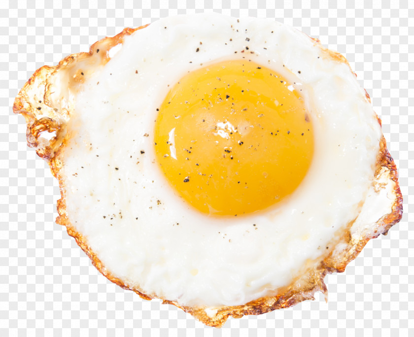 Fried Egg Breakfast Toast PNG
