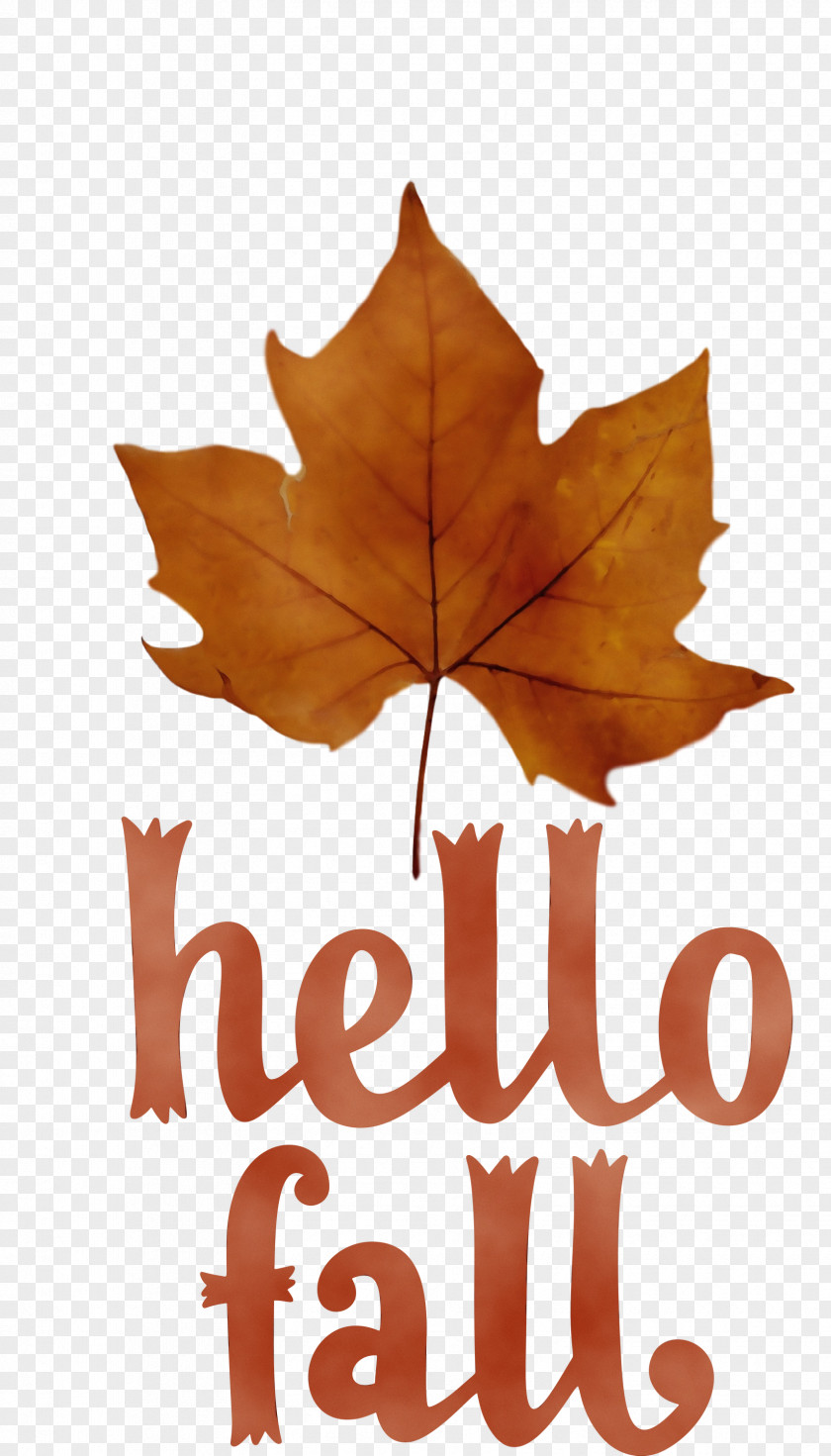 Leaf Maple Leaf / M Font Tree Meter PNG