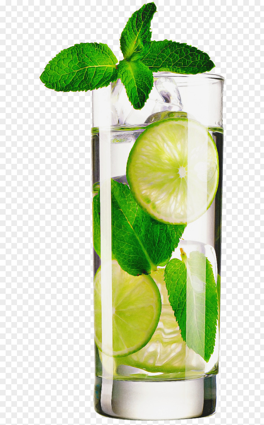 Cocktail Garnish Persian Lime Green Key Plant Highball Glass PNG
