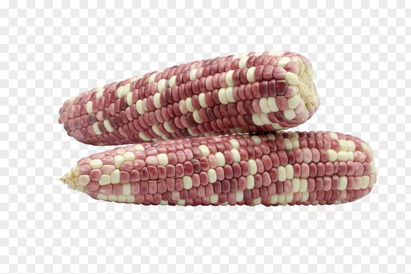 Corn Waxy Maize Purple Food PNG