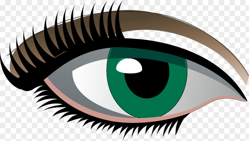 Eye Cartoon Vector Euclidean PNG