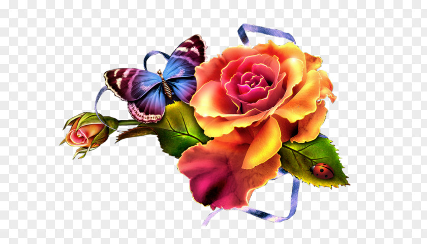 Flower Cut Flowers Floral Design Clip Art Garden Roses PNG