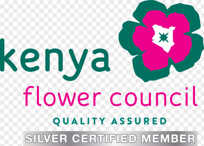 Flower Oserian Kenya Council Cut Flowers Floral Industry PNG