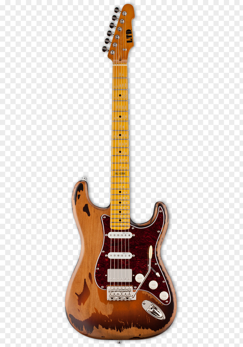 Guitar Fender Stratocaster Telecaster ESP LTD Gary Holt Signature Model GH600EC Electric PNG