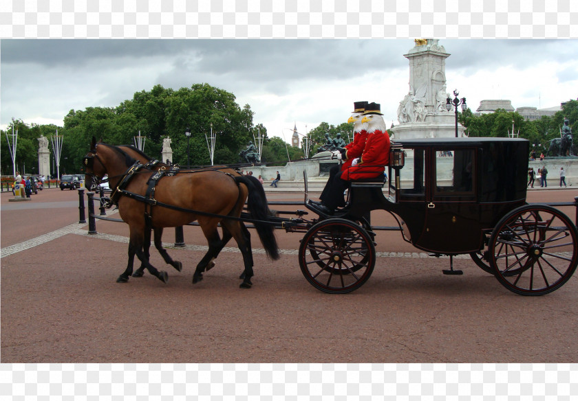Horse Buckingham Palace And Buggy Royal Mews Victoria Memorial, London PNG