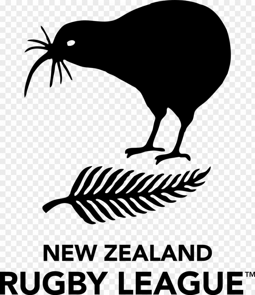 Kiwis New Zealand National Rugby League Team Four Nations 2013 World Cup PNG