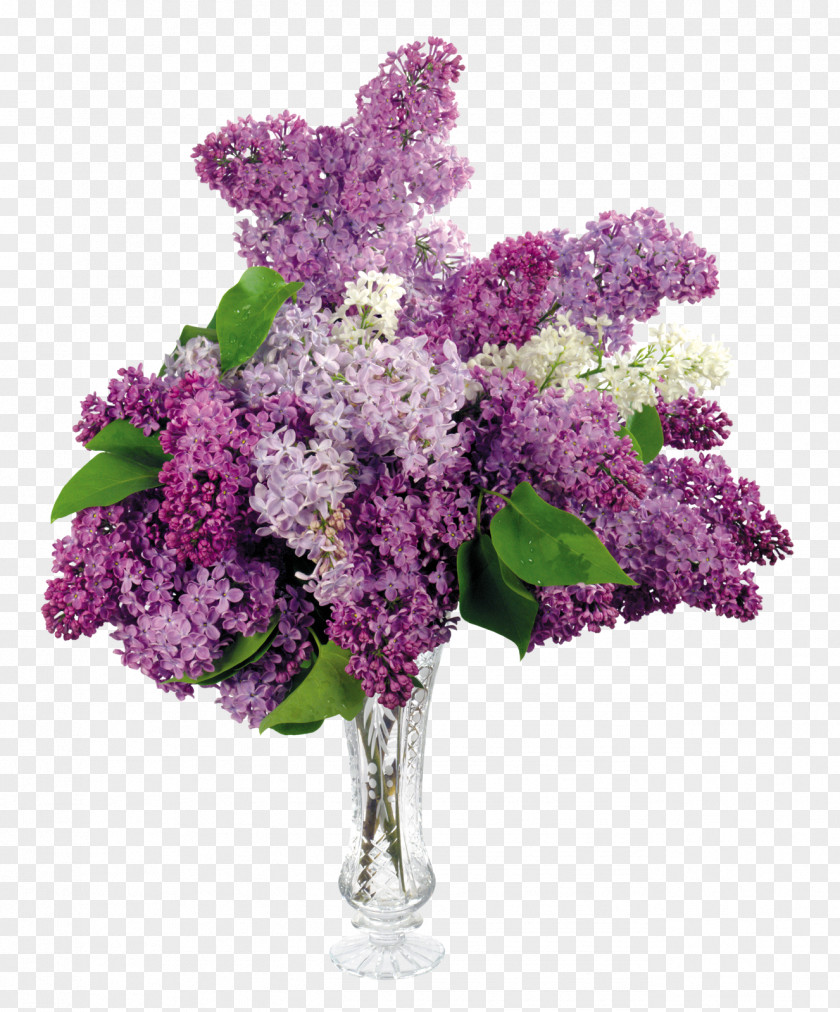 Lilac Common Flower Bouquet Desktop Wallpaper PNG