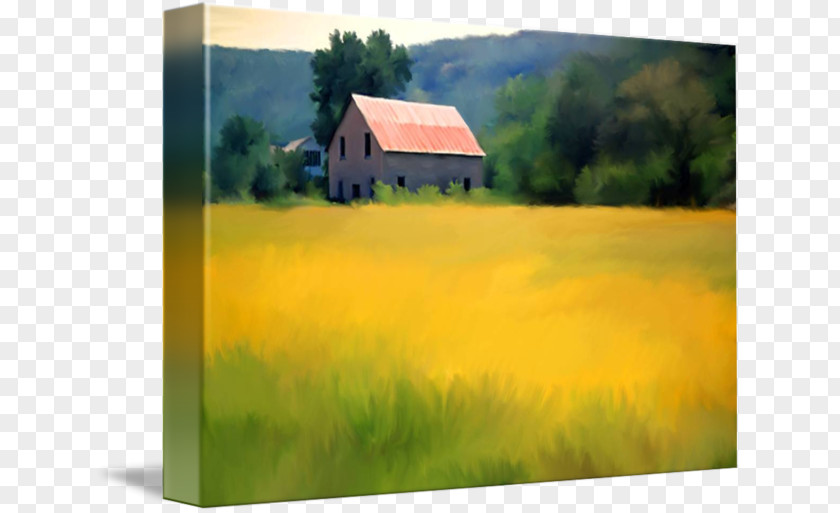 Mustard Field Painting Acrylic Paint Farm Grassland PNG