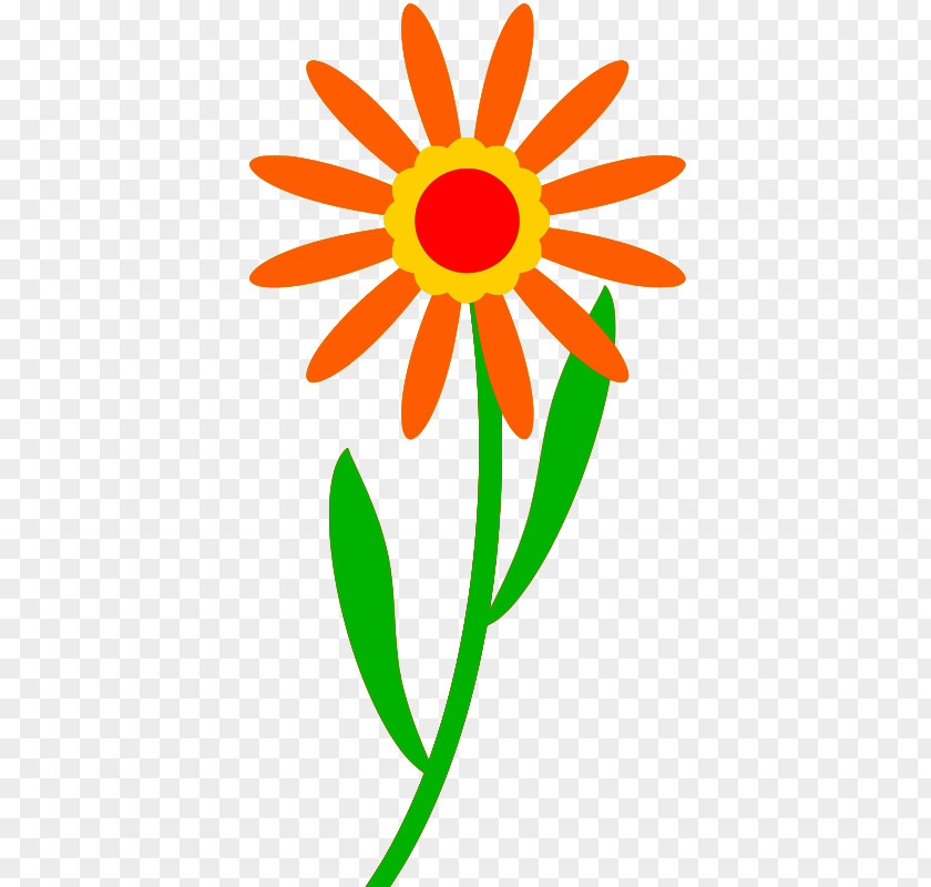 Orange Flower Microsoft Clip Art PNG