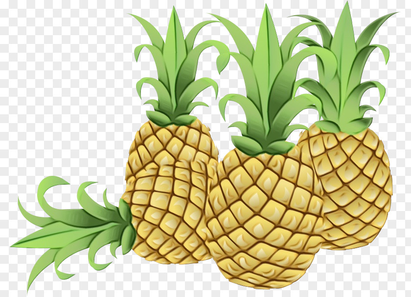 Pineapple Fruit Health Food Eating PNG