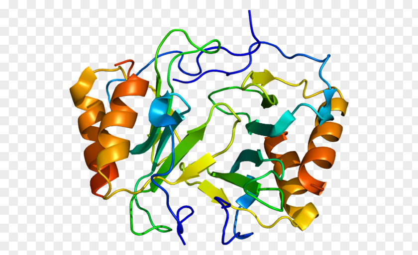 Platelet Factor 4 CXC Chemokine Receptors Heparin PNG