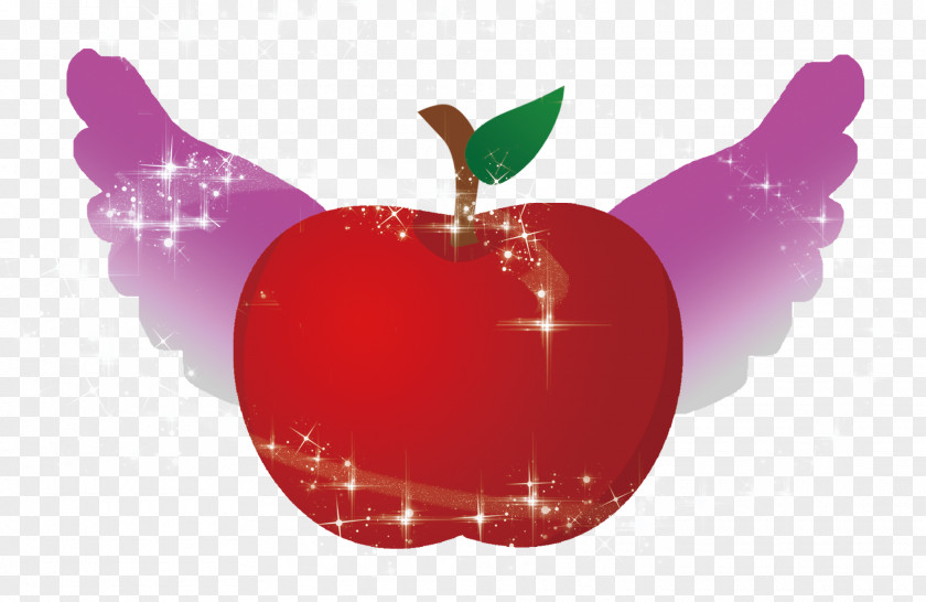 Red Apple Christmas Eve PNG