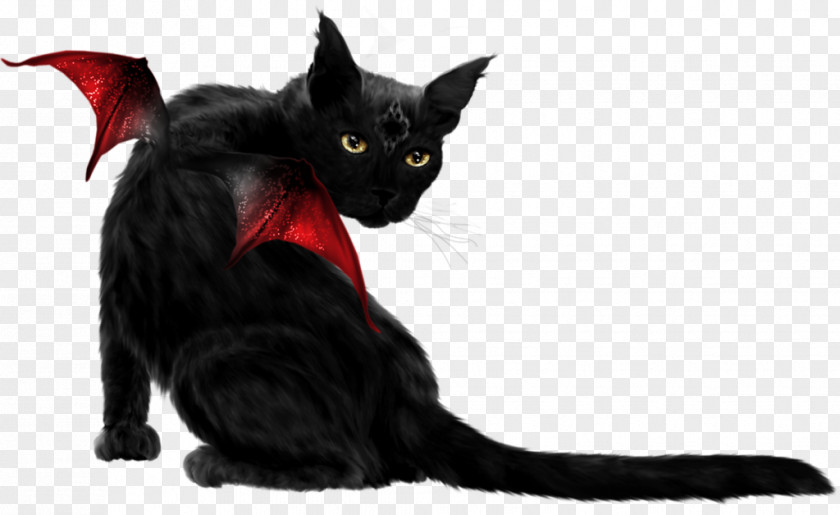 Red Wings Black Cat Bombay Kitten Whiskers PNG