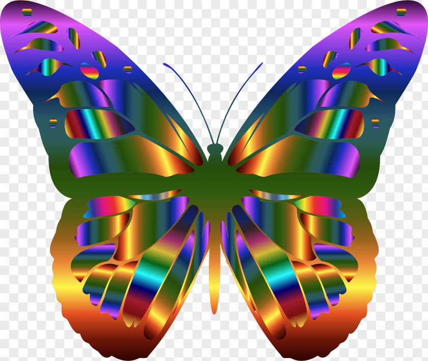 Buterfly Monarch Butterfly Clip Art PNG