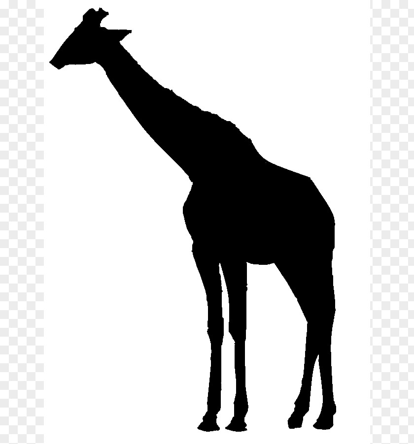 Giraffe Graphics Silhouette Clip Art PNG