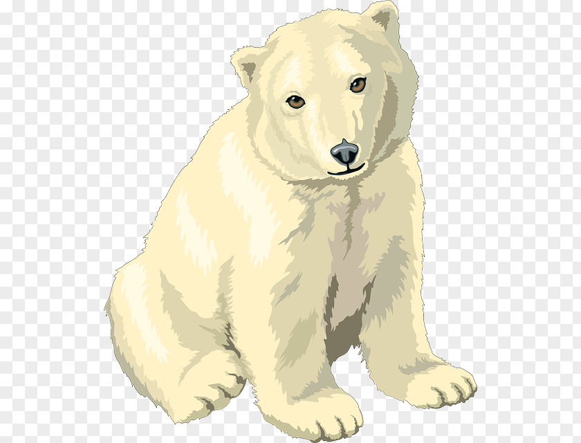 Polar White Bear Bear, What Do You Hear? Clip Art PNG