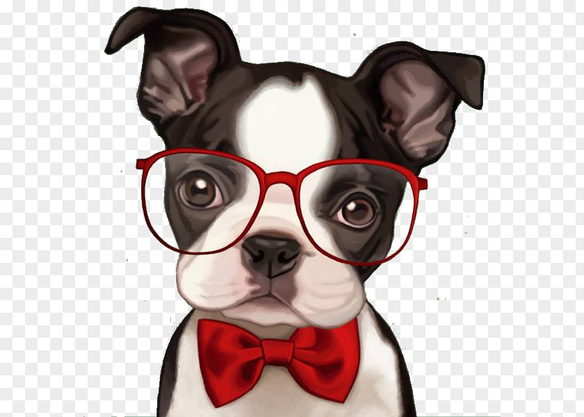 Retro Party French Bulldog Boston Terrier Pug American PNG