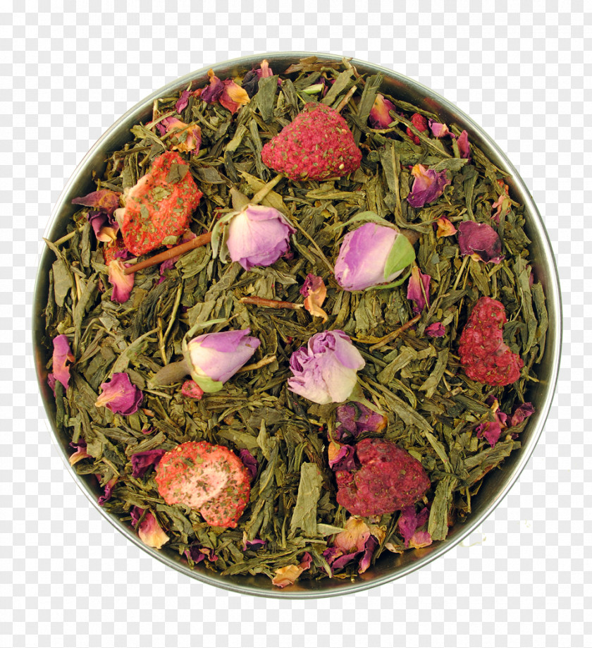 Tea Graden Flower PNG