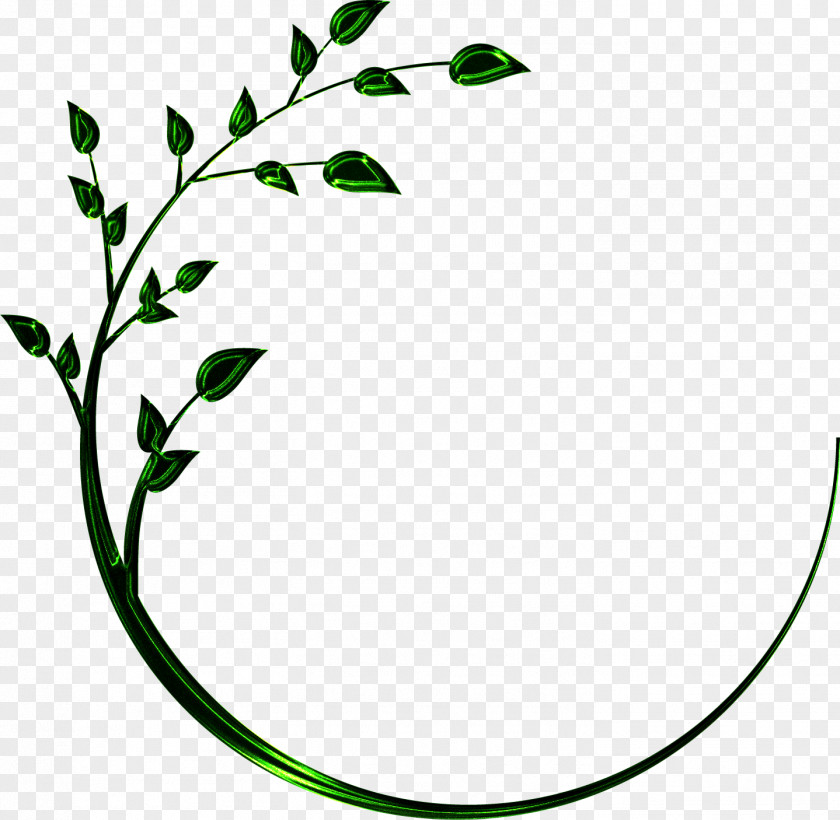 The Secret Garden Plant Stem Line Leaf Clip ArtOthers Taj PNG