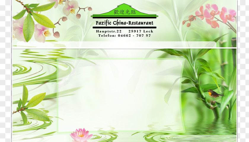 Chinese Takeout Floral Design Herbalism Alternative Health Services PNG