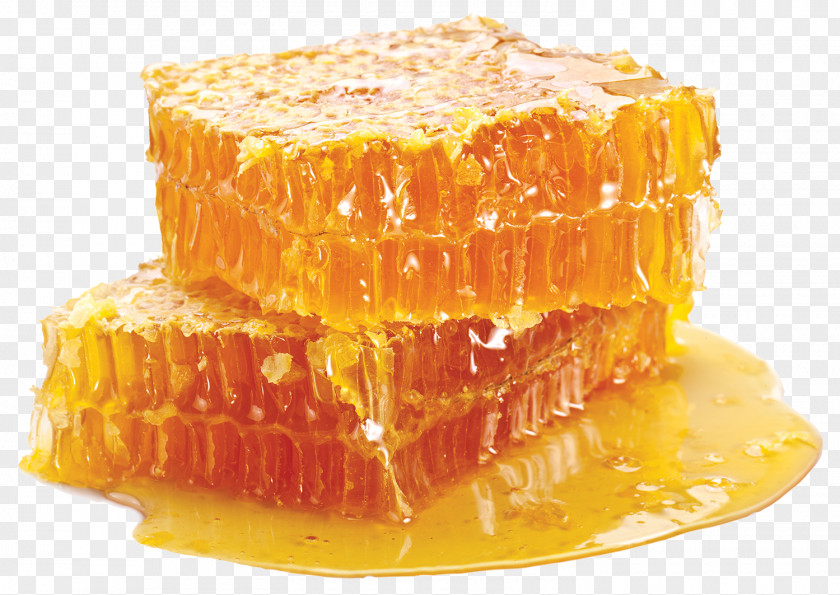 Drink Honey Bees Beeswax Honeycomb Bee Beehive PNG